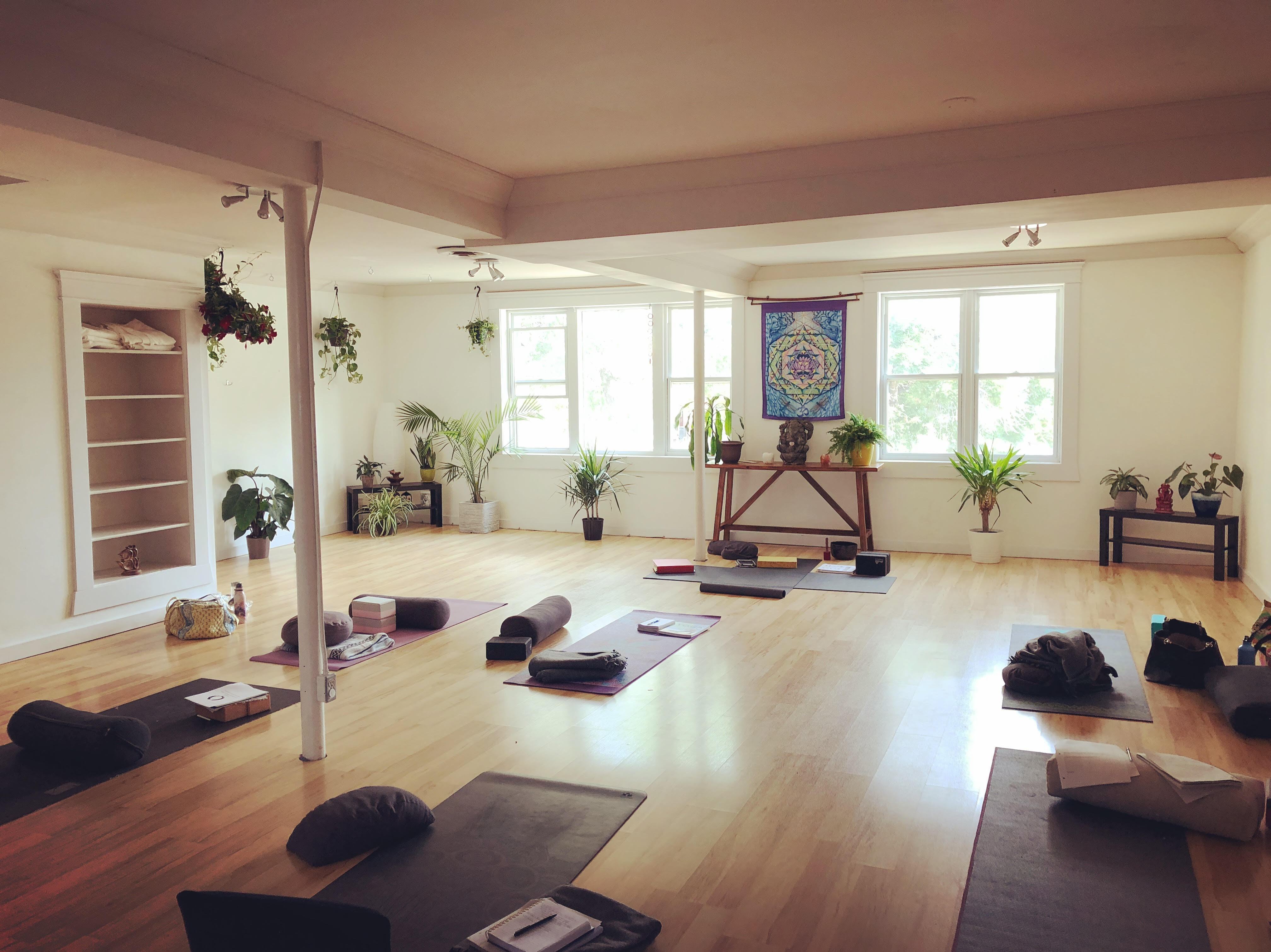 Yoga Studio Rental  Sacred Seed Yoga & Ayurveda